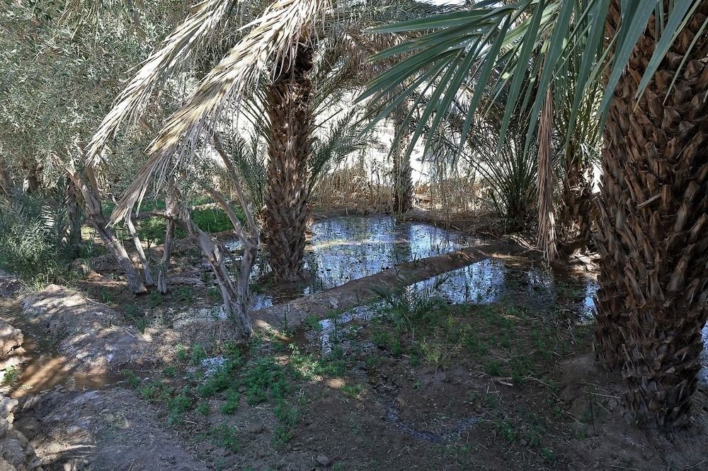 Отель Kasbah Tissint Экстерьер фото